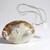 Parure in argento con Conchiglia Abalone