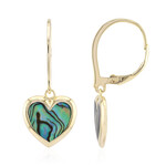 Pendientes en plata con Concha de Abalone