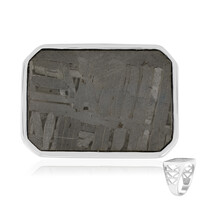 Anello in argento con Meteoriti di Aletai