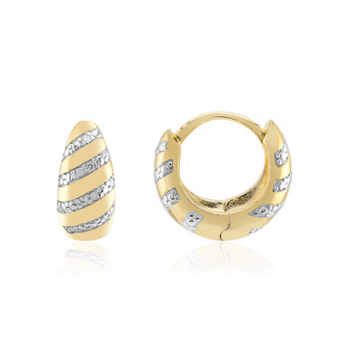 Orecchini in argento con Zircone