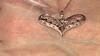 Gouden hanger met een SI1 Argyle Rose De France Diamant (Annette)