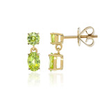 Boucles d'oreilles en or et Sphène de Capelinha