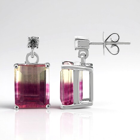Orecchini in argento con Fluorite Bicolore (Pallanova)