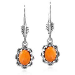 Pendientes en plata con Ostra espinosa naranja (Desert Chic)