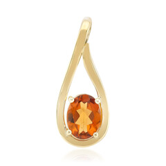 Gouden hanger met een Ceylon hessoniet
