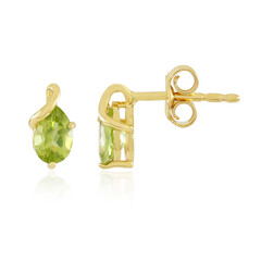 Orecchini in argento con Peridoto