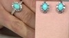 Zilveren oorbellen met Sleeping Beauty Turkooisen (Dallas Prince Designs)