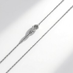 Catenina in argento