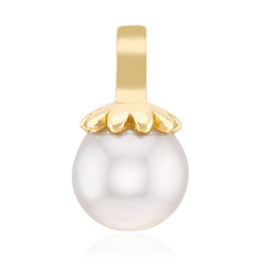 Weiße Südseeperlen-Goldanhänger (Michelle Albala)