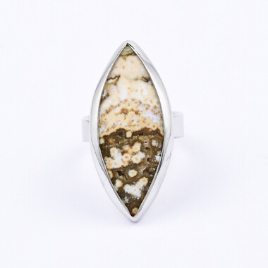 Zilveren ring met een oceaan jaspis