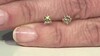 Gouden oorbellen met I2 Bruine Diamanten (SUHANA)