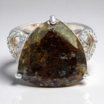 Anello in argento con Quarzo Dinosauro