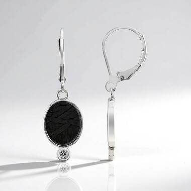Pendientes en plata con Meteorito Aletai