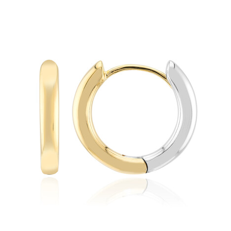 Orecchini in argento