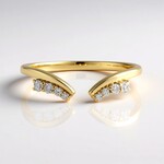 Anello in oro con Diamante IF (G) (de Melo Gold)