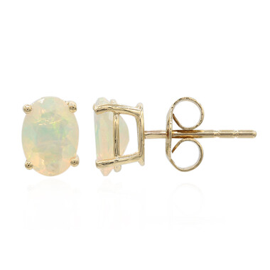 Welo-Opal-Goldohrringe