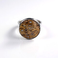 Anello in argento con Legno di Palma Pietrificato