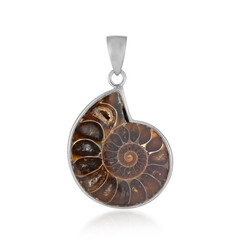 Zilveren hanger met een ammoniet