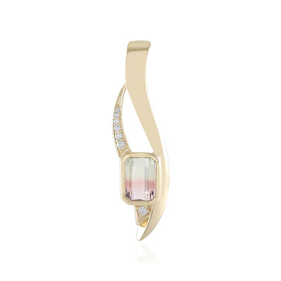 Gouden hanger met een meerkleurige toermalijn (de Melo)