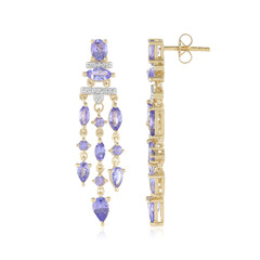 Tanzanite Silver Earrings