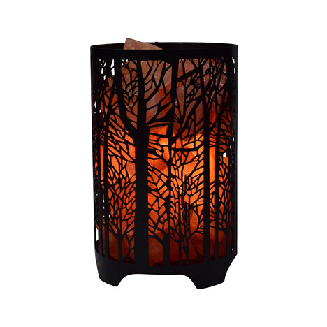 Accessorio (Lapis Vitalis)