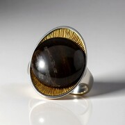 Bague en argent et Bois fossilisé (dagen)