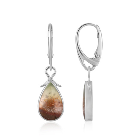 Zilveren oorbellen met versteend geopaliseerd hout (Bali Barong)