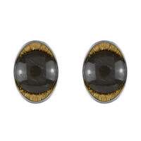 Orecchini in argento con Legno Fossile