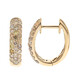 14K SI2 Fancy Diamond Gold Earrings (CIRARI)
