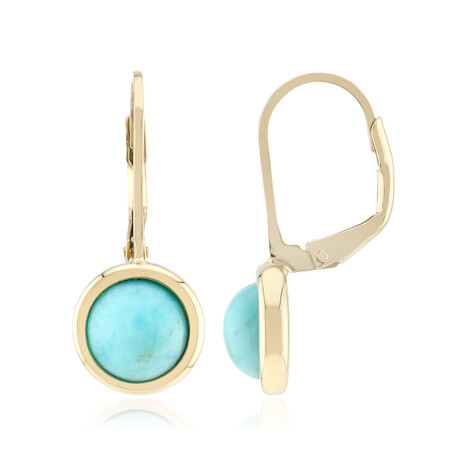 Amazonite Silver Earrings