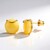 Orecchini in argento con Ambra Milky Baltica (dagen)