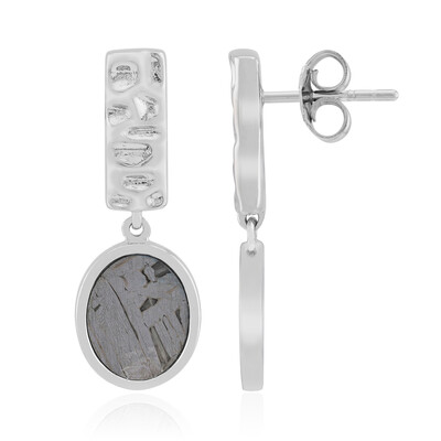 Aletai-Meteorite Silver Earrings