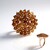 Anello in argento con Zircone Cognac (Adela Silber)