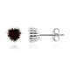 Garnet Silver Earrings