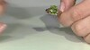 Anillo en oro con Peridoto de Dashihe