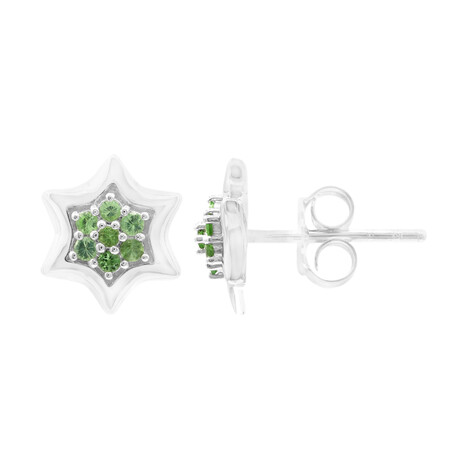 Boucles d'oreilles en argent et Grenat Tsavorite
