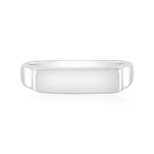 Silberring
