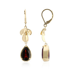 Boucles d'oreilles en argent et Grenat