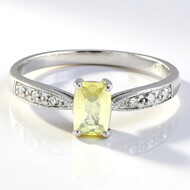 Zilveren ring met een xia-apetiet