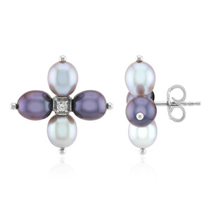 Orecchini in argento con Perla Nera di Acqua Dolce (TPC)