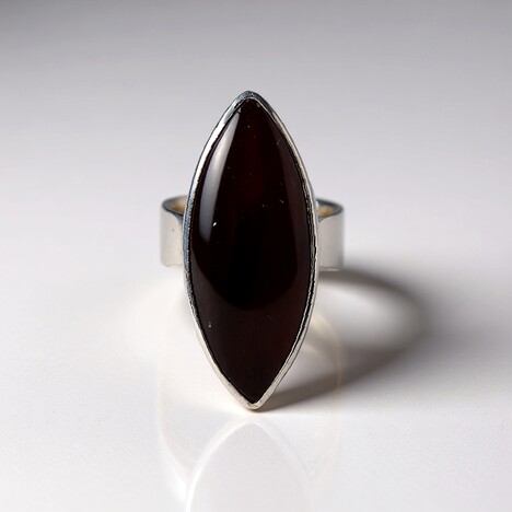 Anello in argento con Legno Fossile