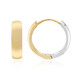 Boucles d'oreilles en argent