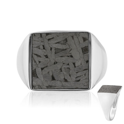 Bague en argent et Météorite d'Alétaï