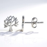 Orecchini in argento