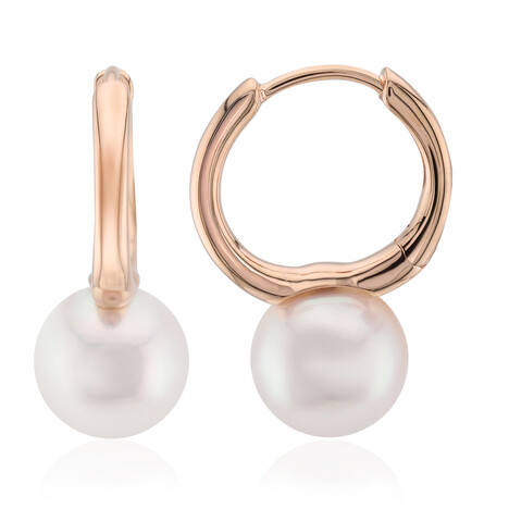 Gouden oorbellen met Akoya parels (TPC)