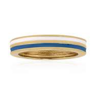 Silberring