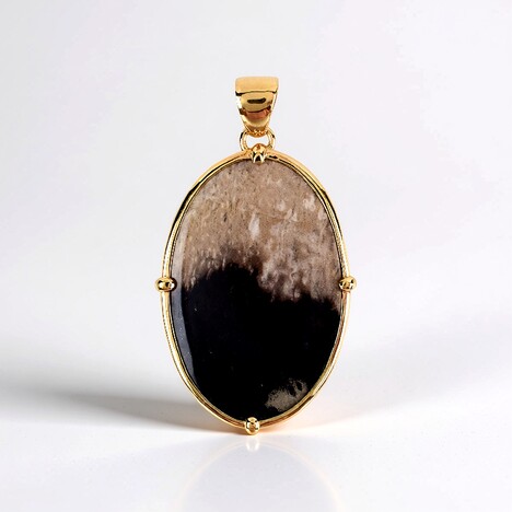Ciondolo in argento con Legno Fossile