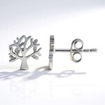 Orecchini in argento