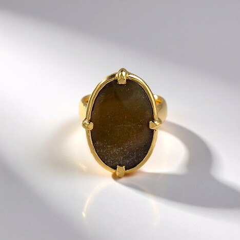 Anello in argento con Legno Fossile