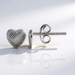 Orecchini in argento